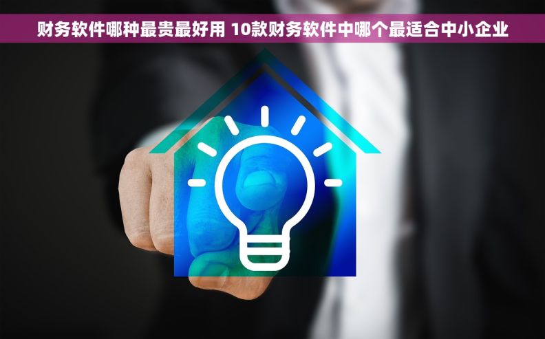 财务软件哪种最贵最好用 10款财务软件中哪个最适合中小企业