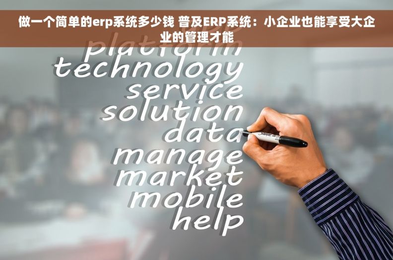 做一个简单的erp系统多少钱 普及ERP系统：小企业也能享受大企业的管理才能