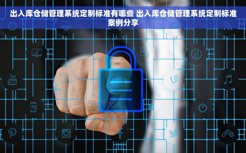 出入库仓储管理系统定制标准有哪些 出入库仓储管理系统定制标准案例分享