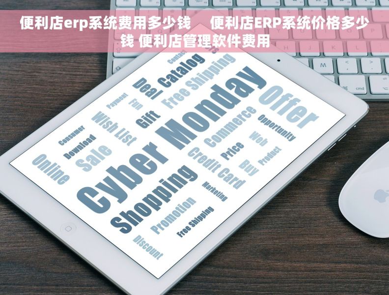 便利店erp系统费用多少钱     便利店ERP系统价格多少钱 便利店管理软件费用