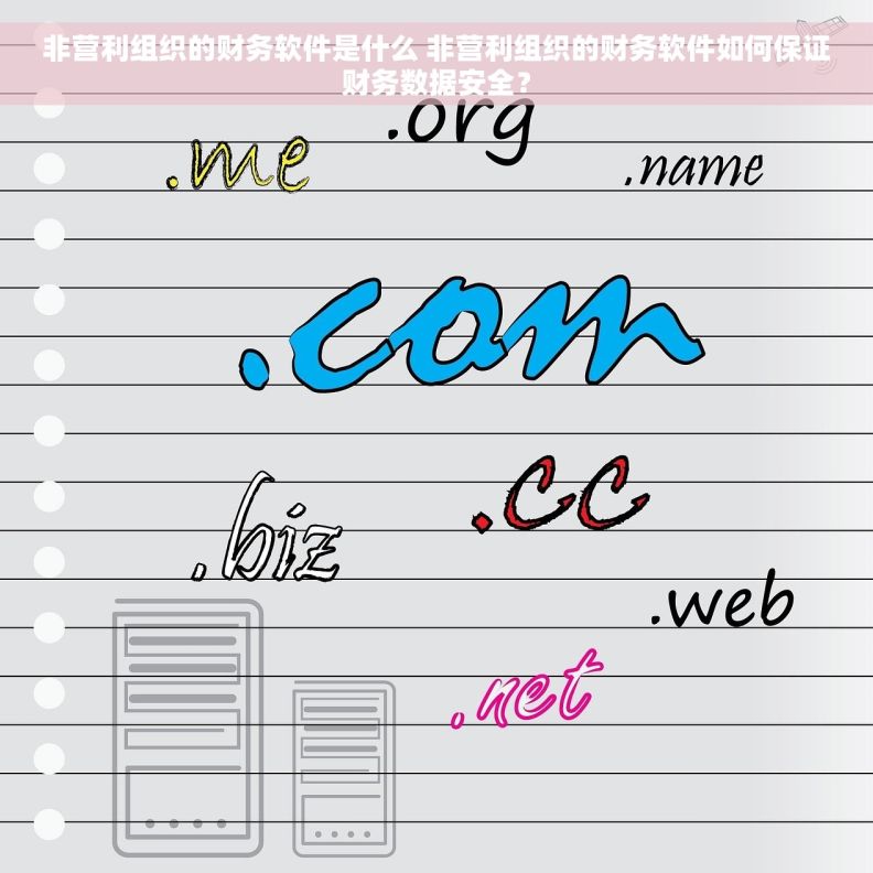 非营利组织的财务软件是什么 非营利组织的财务软件如何保证财务数据安全？