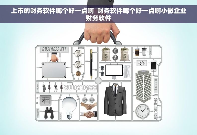 上市的财务软件哪个好一点啊  财务软件哪个好一点啊小微企业财务软件