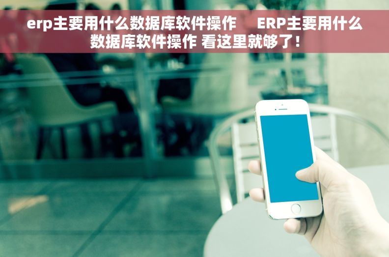 erp主要用什么数据库软件操作     ERP主要用什么数据库软件操作 看这里就够了！