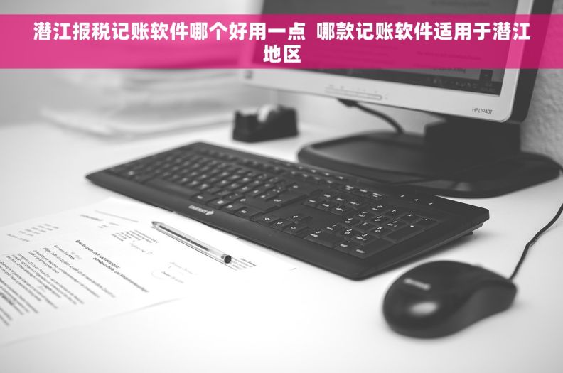 潜江报税记账软件哪个好用一点  哪款记账软件适用于潜江地区