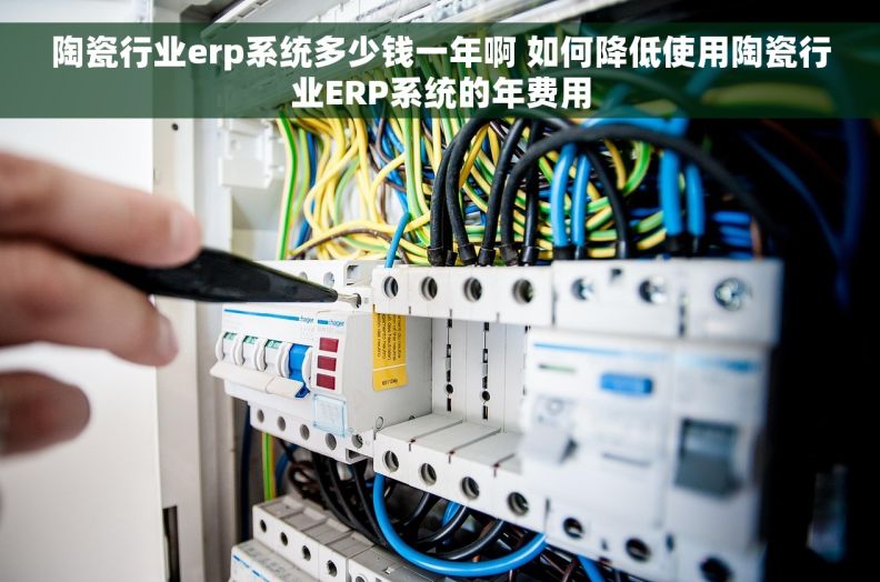 陶瓷行业erp系统多少钱一年啊 如何降低使用陶瓷行业ERP系统的年费用