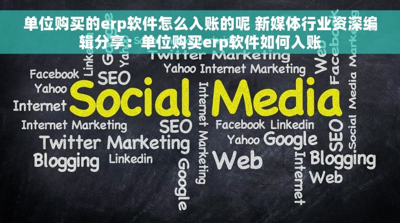单位购买的erp软件怎么入账的呢 新媒体行业资深编辑分享：单位购买erp软件如何入账