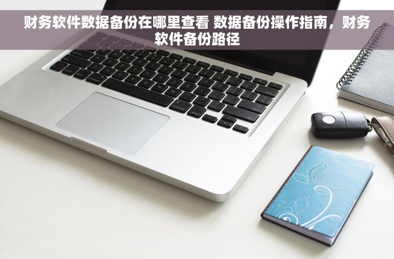财务软件数据备份在哪里查看 数据备份操作指南，财务软件备份路径