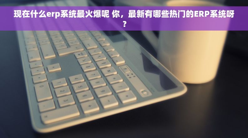 现在什么erp系统最火爆呢 你，最新有哪些热门的ERP系统呀？
