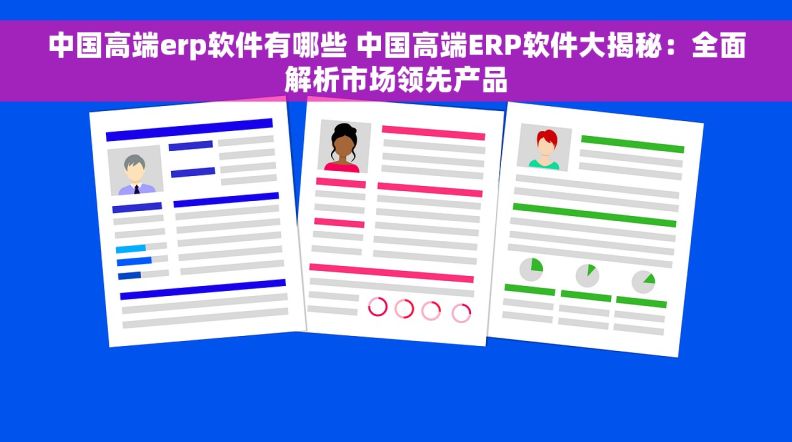 中国高端erp软件有哪些 中国高端ERP软件大揭秘：全面解析市场领先产品