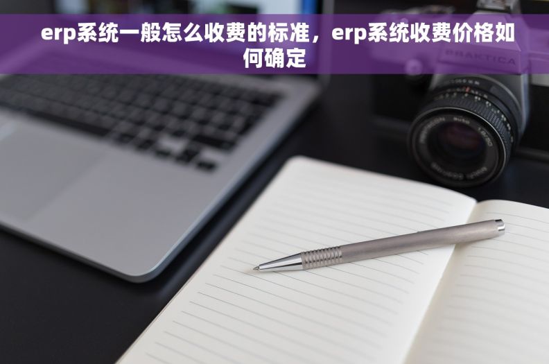  erp系统一般怎么收费的标准，erp系统收费价格如何确定