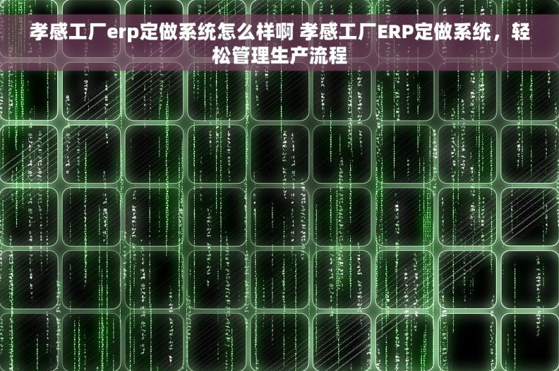 孝感工厂erp定做系统怎么样啊 孝感工厂ERP定做系统，轻松管理生产流程