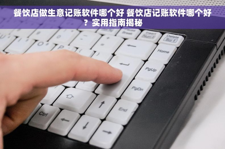 餐饮店做生意记账软件哪个好 餐饮店记账软件哪个好？实用指南揭秘
