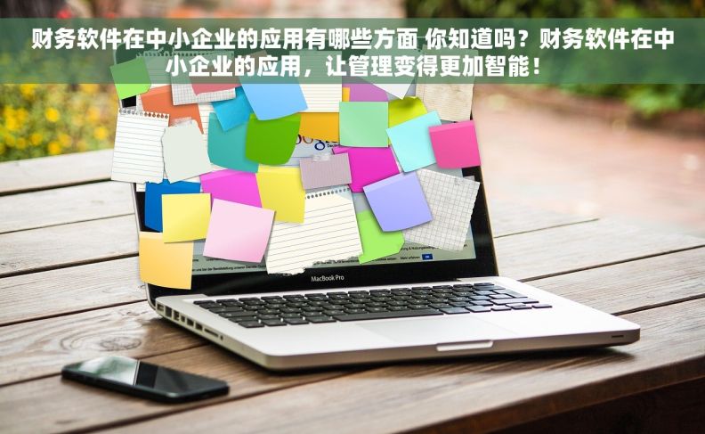 财务软件在中小企业的应用有哪些方面 你知道吗？财务软件在中小企业的应用，让管理变得更加智能！