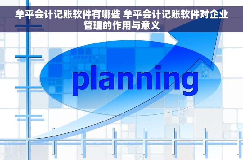 牟平会计记账软件有哪些 牟平会计记账软件对企业管理的作用与意义