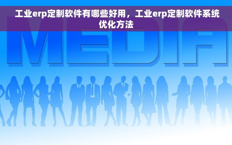  工业erp定制软件有哪些好用，工业erp定制软件系统优化方法
