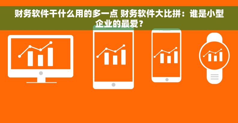 财务软件干什么用的多一点 财务软件大比拼：谁是小型企业的最爱？