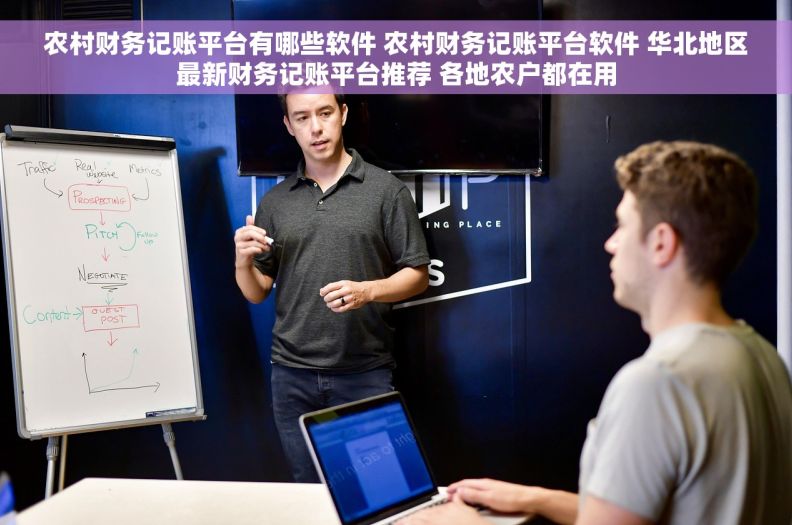 农村财务记账平台有哪些软件 农村财务记账平台软件 华北地区最新财务记账平台推荐 各地农户都在用