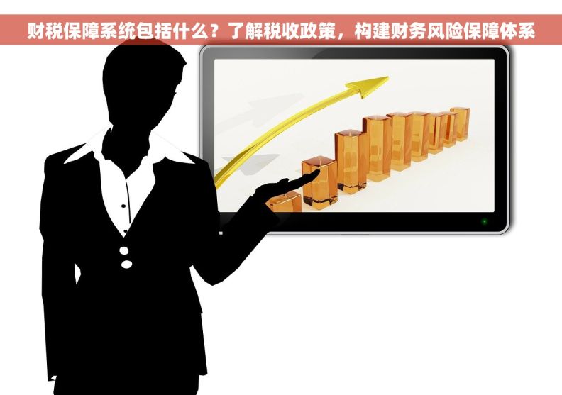财税保障系统包括什么？了解税收政策，构建财务风险保障体系