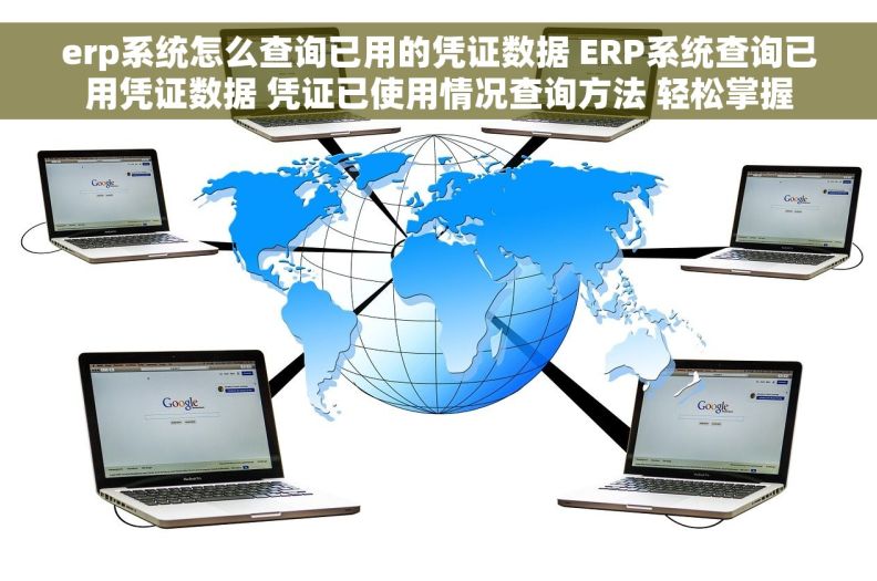 erp系统怎么查询已用的凭证数据 ERP系统查询已用凭证数据 凭证已使用情况查询方法 轻松掌握