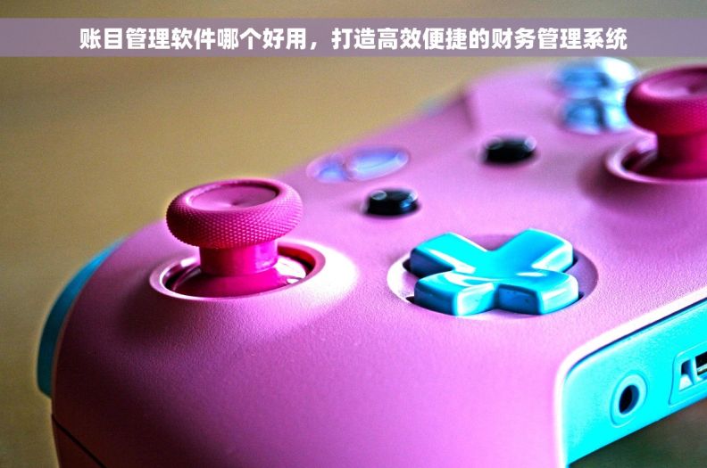 账目管理软件哪个好用，打造高效便捷的财务管理系统