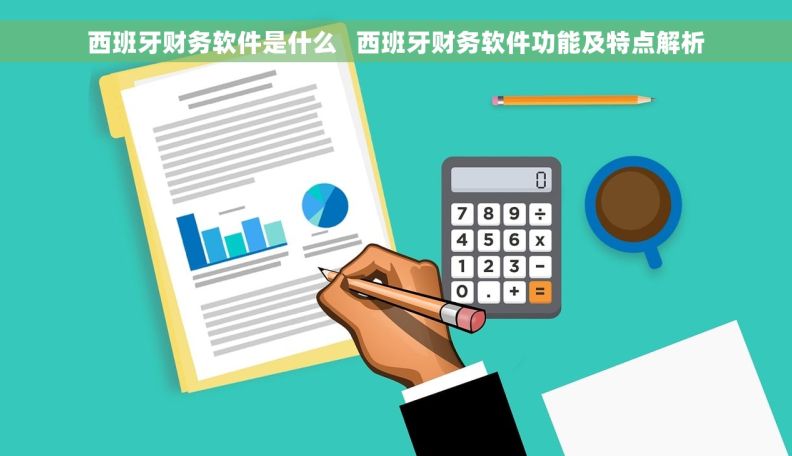 西班牙财务软件是什么   西班牙财务软件功能及特点解析