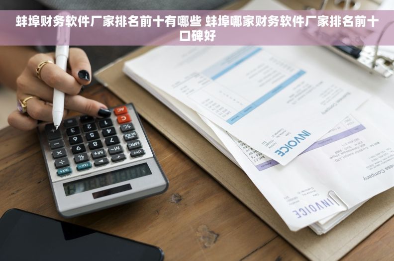 蚌埠财务软件厂家排名前十有哪些 蚌埠哪家财务软件厂家排名前十口碑好