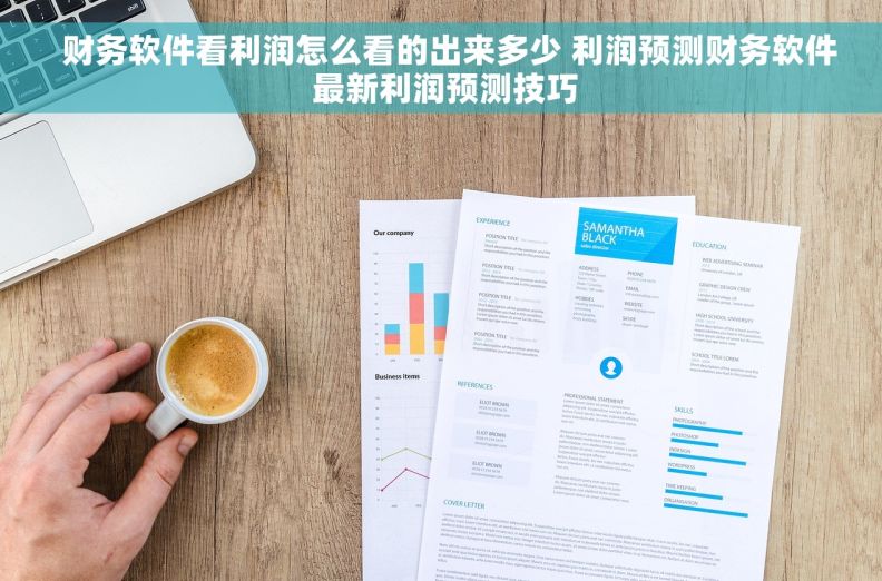   财务软件看利润怎么看的出来多少 利润预测财务软件 最新利润预测技巧