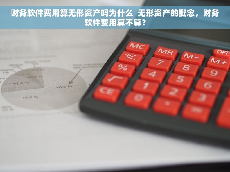 财务软件费用算无形资产吗为什么  无形资产的概念，财务软件费用算不算？