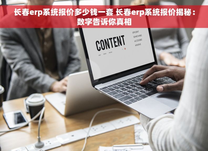 长春erp系统报价多少钱一套 长春erp系统报价揭秘：数字告诉你真相