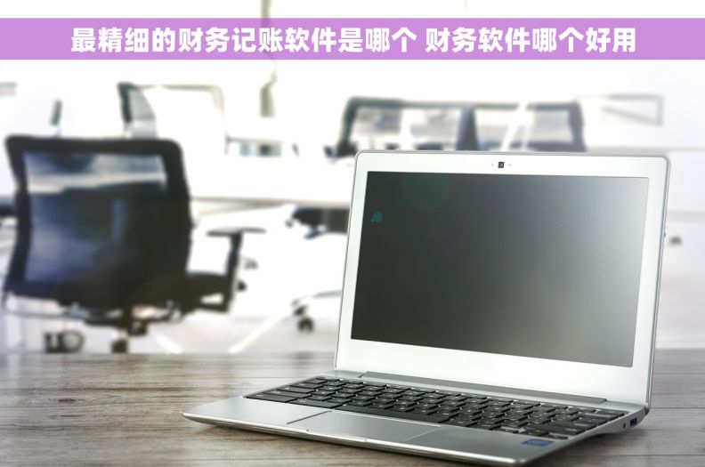 最精细的财务记账软件是哪个 财务软件哪个好用