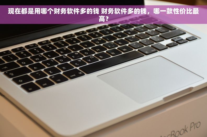 现在都是用哪个财务软件多的钱 财务软件多的钱，哪一款性价比最高？