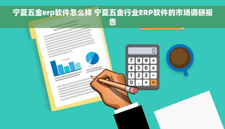 宁夏五金erp软件怎么样 宁夏五金行业ERP软件的市场调研报告
