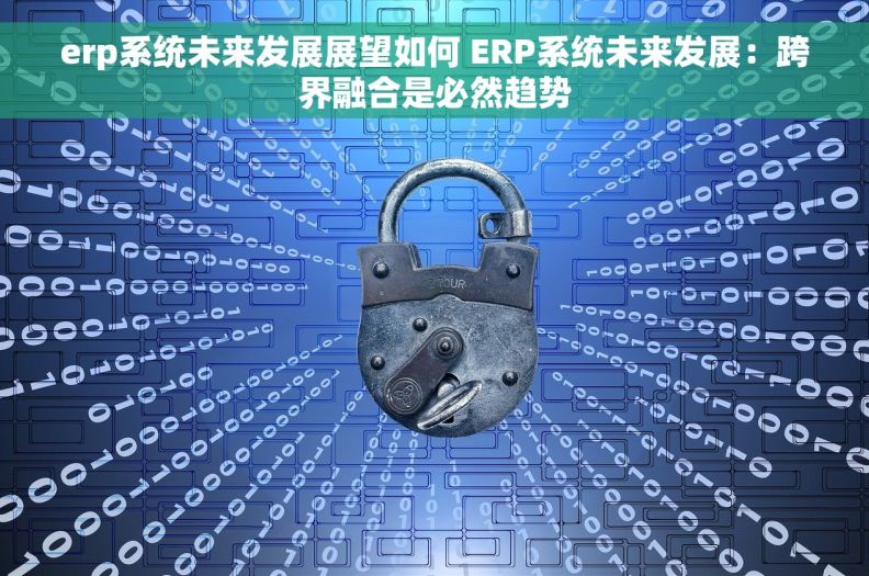erp系统未来发展展望如何 ERP系统未来发展：跨界融合是必然趋势