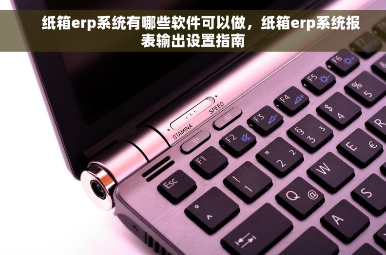     纸箱erp系统有哪些软件可以做，纸箱erp系统报表输出设置指南