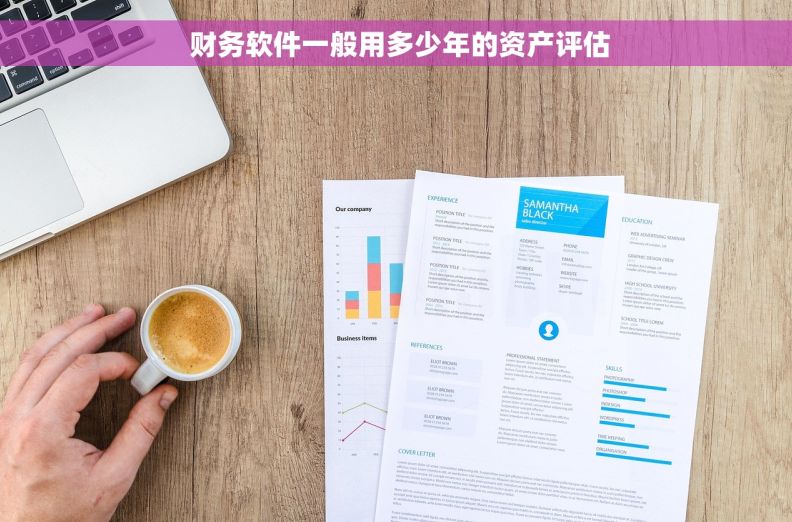  财务软件一般用多少年的资产评估