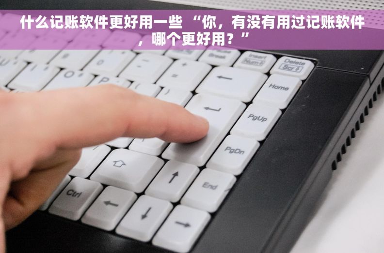什么记账软件更好用一些 “你，有没有用过记账软件，哪个更好用？”