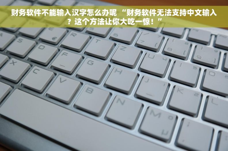 财务软件不能输入汉字怎么办呢 “财务软件无法支持中文输入？这个方法让你大吃一惊！”