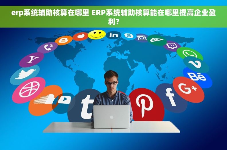 erp系统辅助核算在哪里 ERP系统辅助核算能在哪里提高企业盈利？