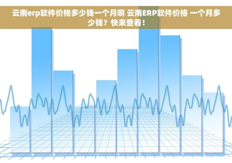 云南erp软件价格多少钱一个月啊 云南ERP软件价格 一个月多少钱？快来查看！