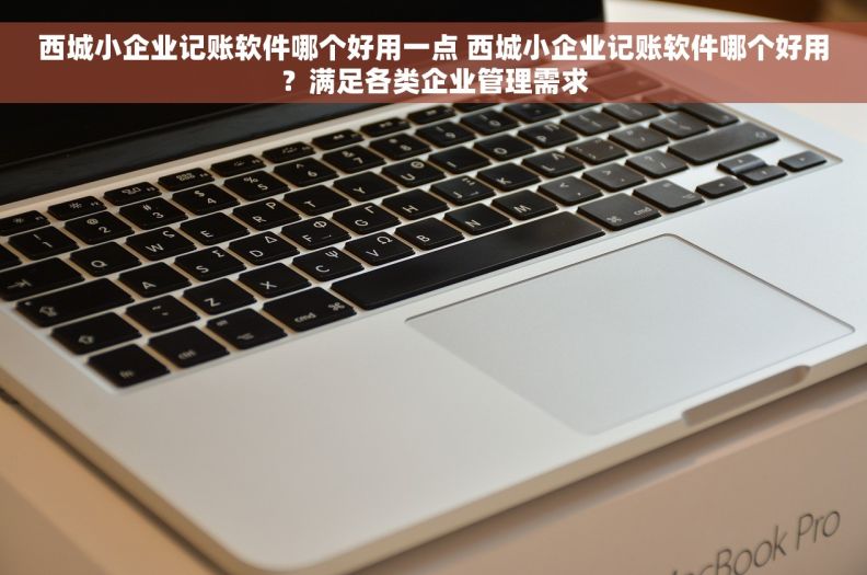 西城小企业记账软件哪个好用一点 西城小企业记账软件哪个好用？满足各类企业管理需求