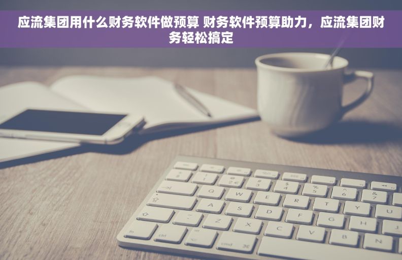 应流集团用什么财务软件做预算 财务软件预算助力，应流集团财务轻松搞定