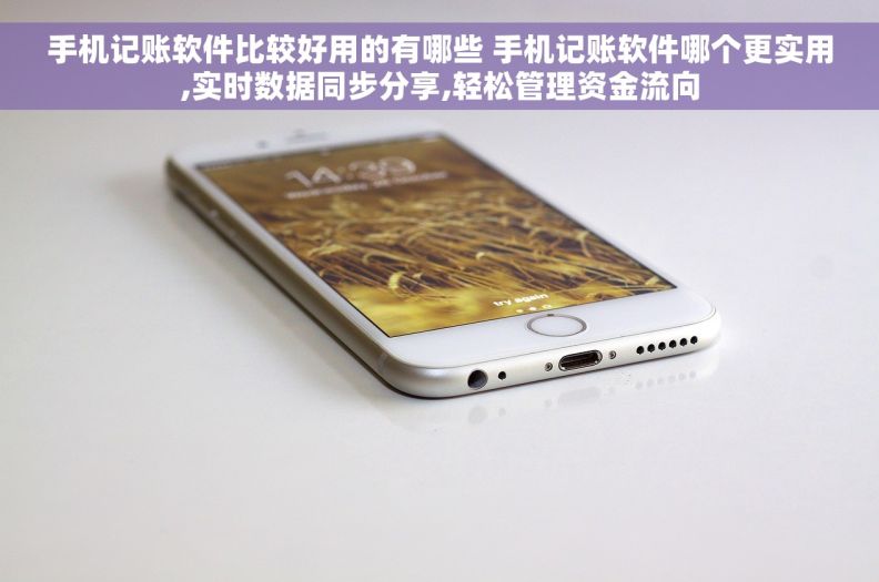 手机记账软件比较好用的有哪些 手机记账软件哪个更实用,实时数据同步分享,轻松管理资金流向