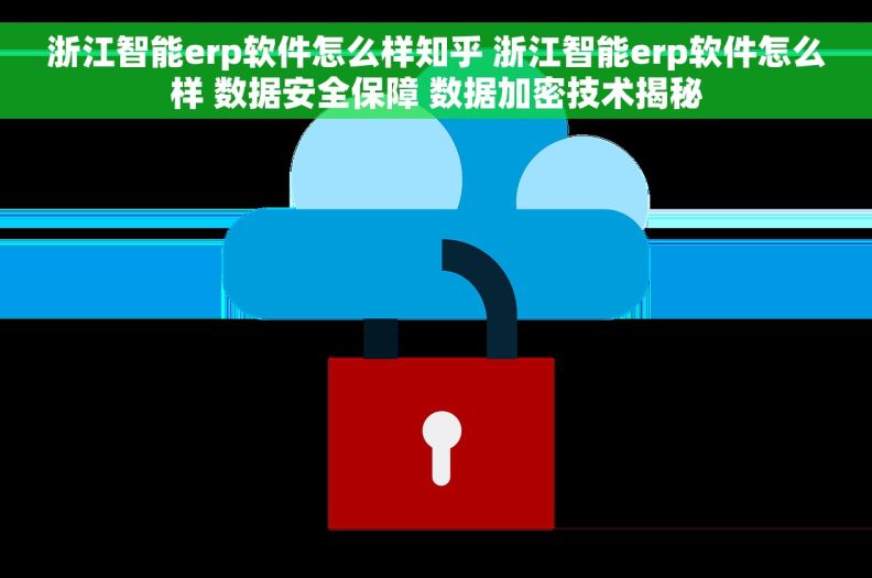 浙江智能erp软件怎么样知乎 浙江智能erp软件怎么样 数据安全保障 数据加密技术揭秘