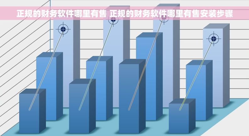 正规的财务软件哪里有售 正规的财务软件哪里有售安装步骤