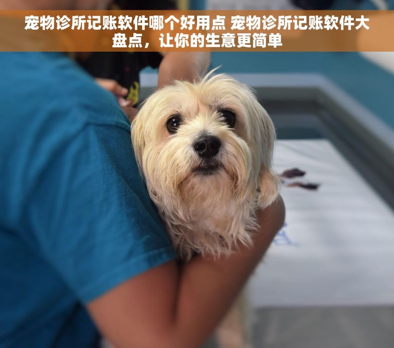 宠物诊所记账软件哪个好用点 宠物诊所记账软件大盘点，让你的生意更简单