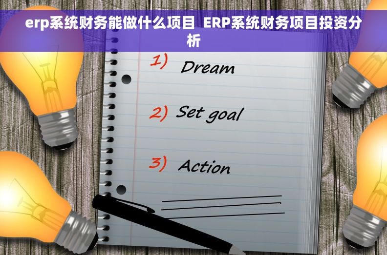 erp系统财务能做什么项目  ERP系统财务项目投资分析