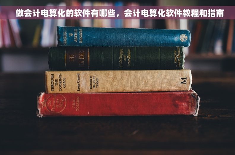   做会计电算化的软件有哪些，会计电算化软件教程和指南