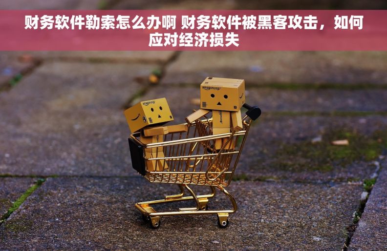 财务软件勒索怎么办啊 财务软件被黑客攻击，如何应对经济损失