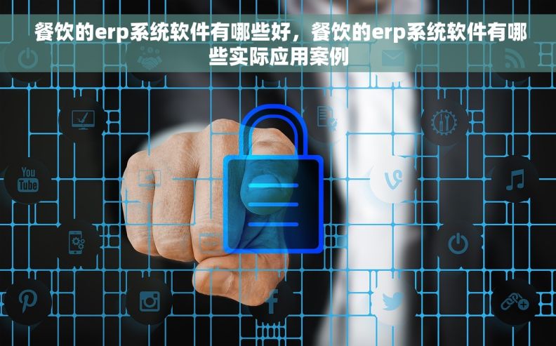 餐饮的erp系统软件有哪些好，餐饮的erp系统软件有哪些实际应用案例
