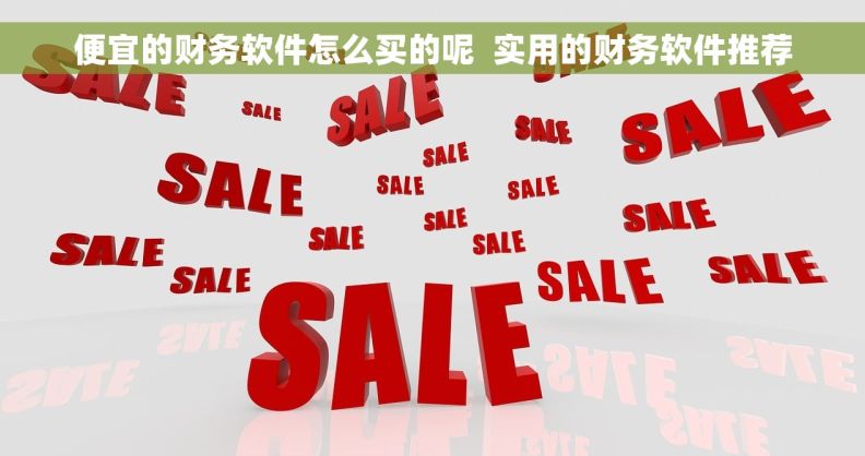 便宜的财务软件怎么买的呢  实用的财务软件推荐